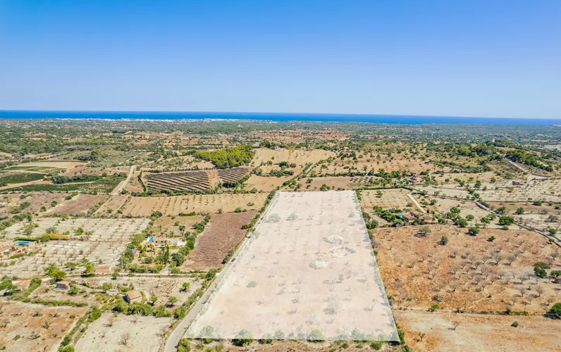 Przestronna działka z potencjałem w pobliżu Alquería Blanca
