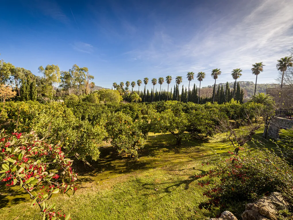 Exclusive finca for the highest expectations-23