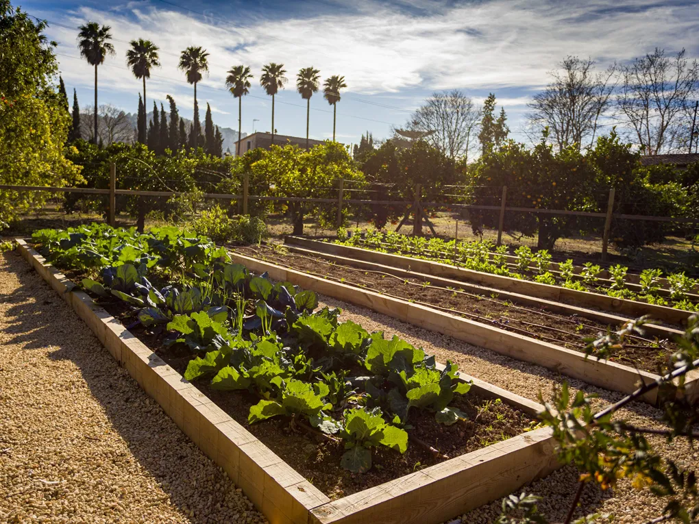 Exclusieve woning voor de hoogste verwachtingen in Alaró-26