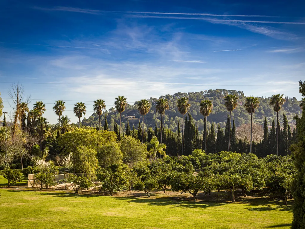 Exclusieve woning voor de hoogste verwachtingen in Alaró-28