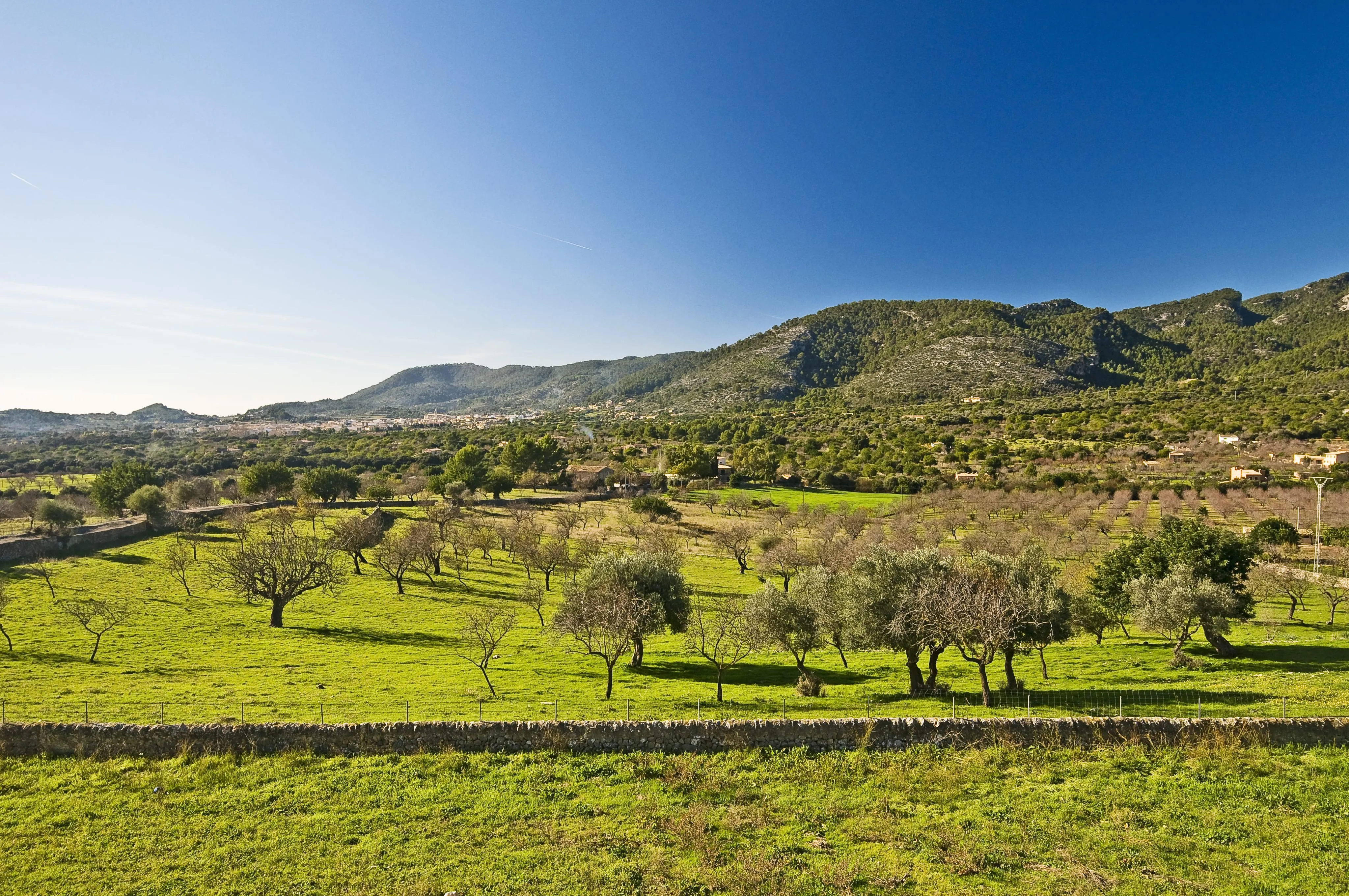 Villa exclusive de 600 m² à Alaró Hills-2