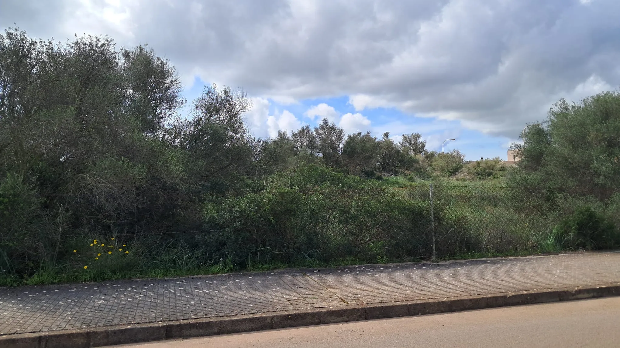 Parcela en Son Gual con licencia de obra – lista para construir-2