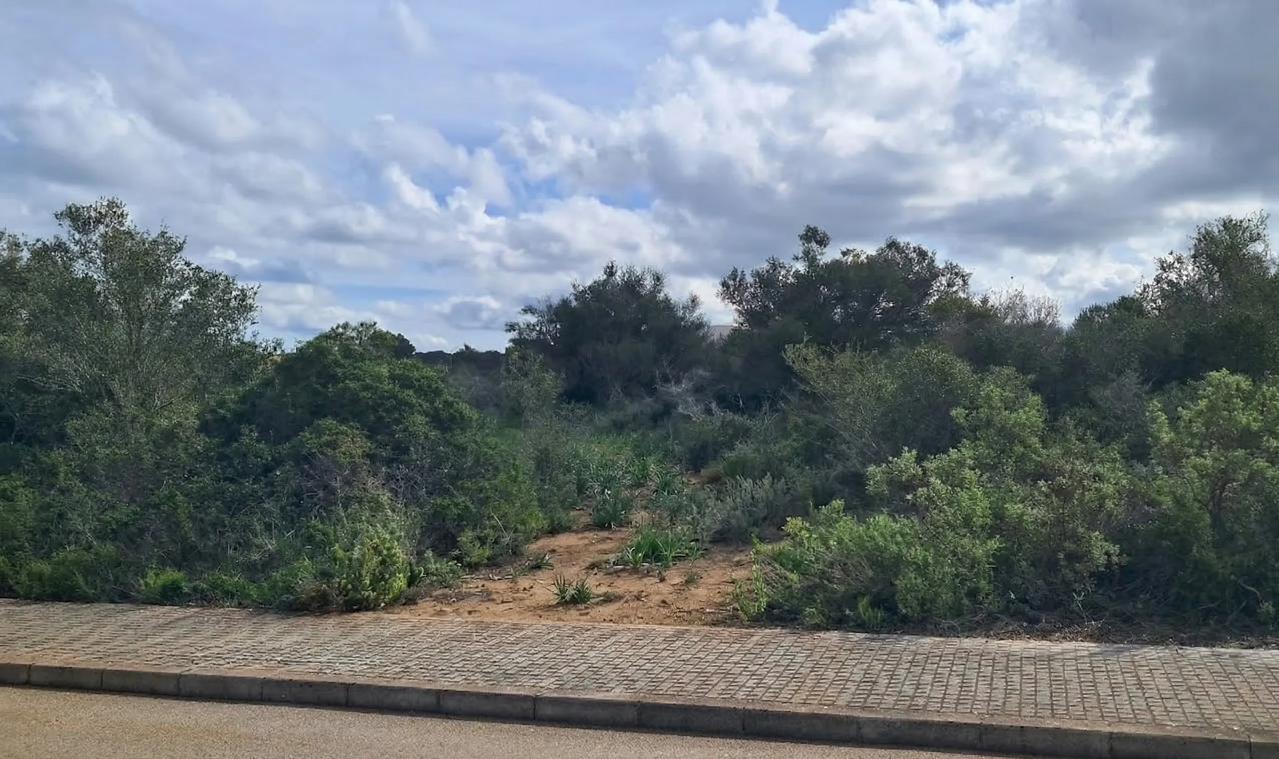 Byggnadstomt i Son Gual med licens - redo att bygga på omedelbart-1