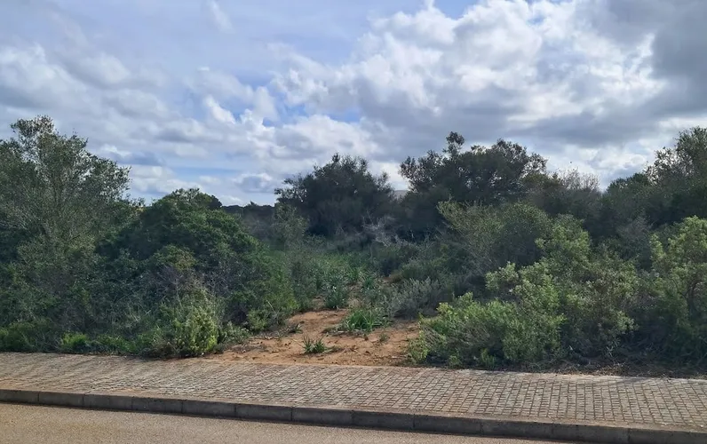 Prime plot in Son Gual with building license – Ready to build