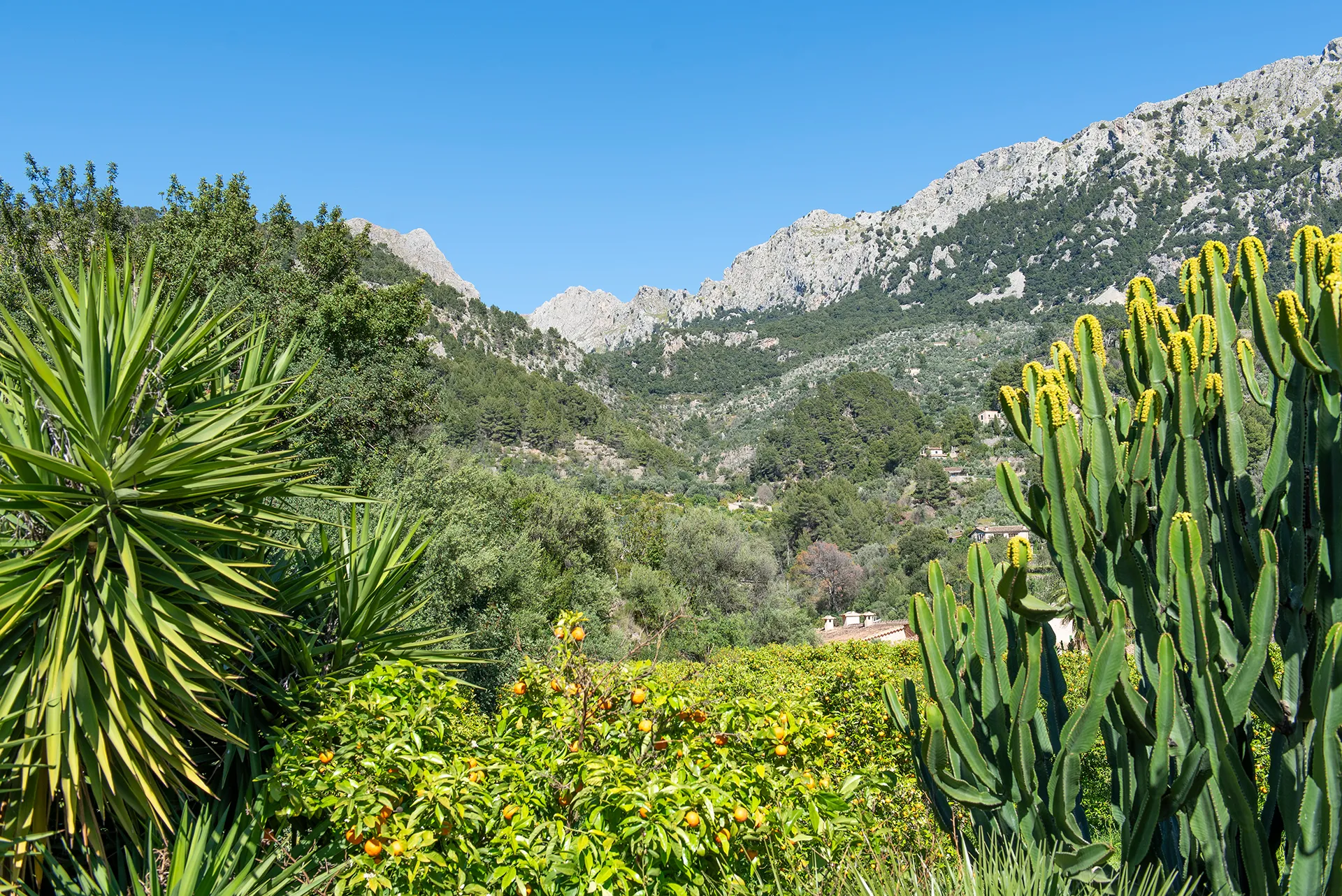 Elégante maison de village avec vue imprenable sur la Tramuntana à Fornalutx-38