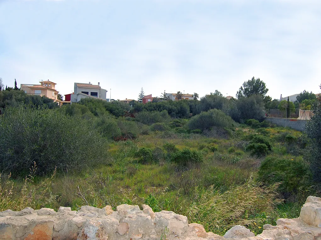 Byggegrund ved anden havlinje i Sa Torre-5