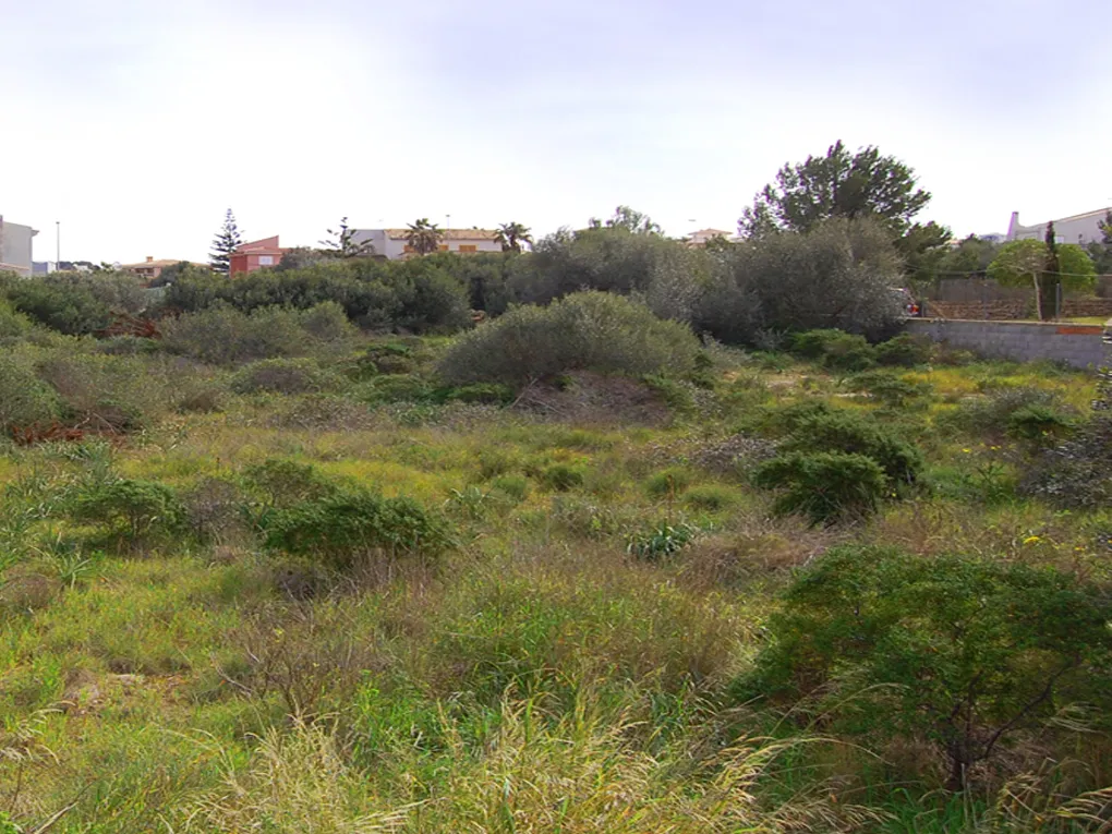 Byggegrund ved anden havlinje i Sa Torre-6