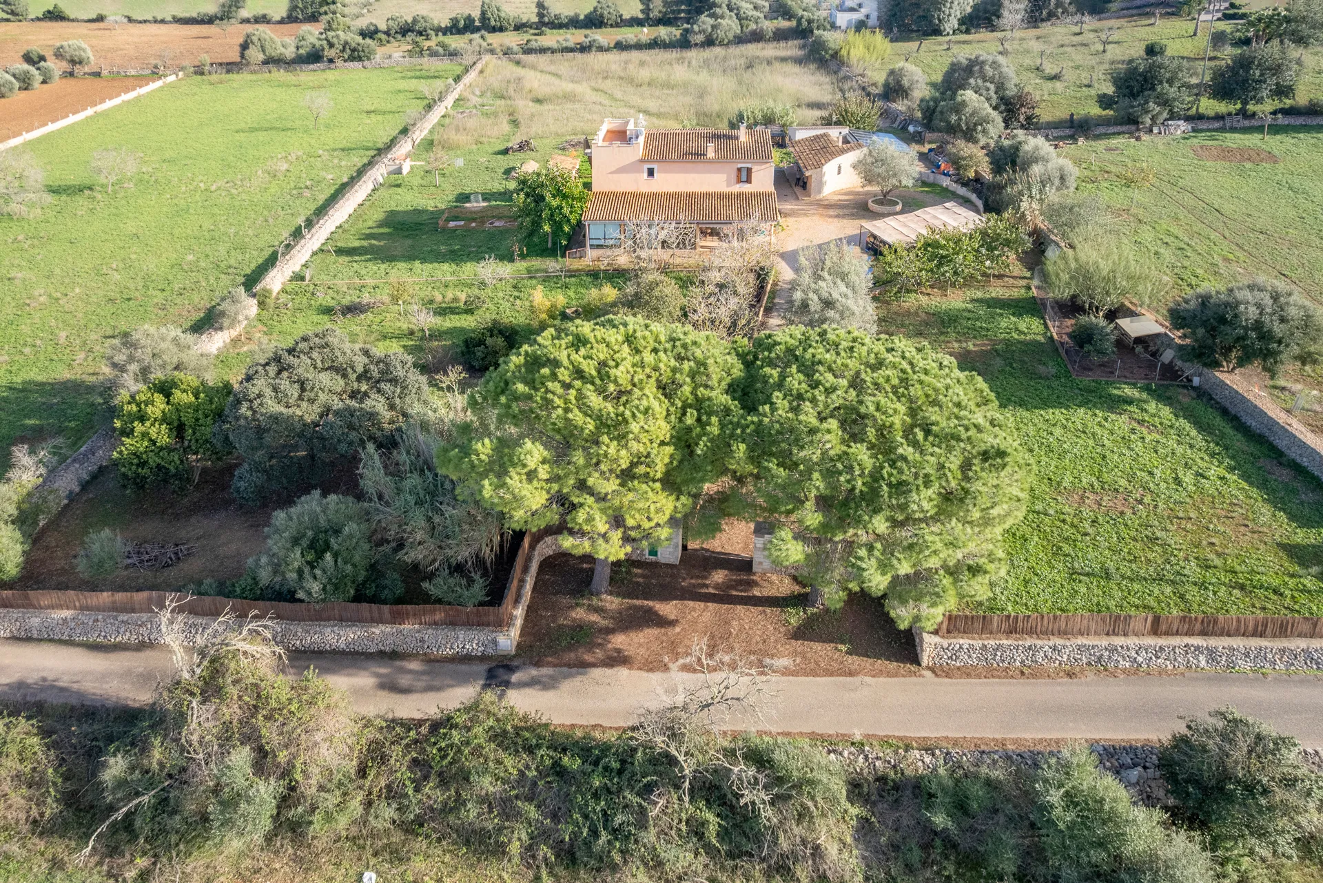 Encantadora finca amb vistes llunyanes al mar i gran potencial a Santa Margalida.-14