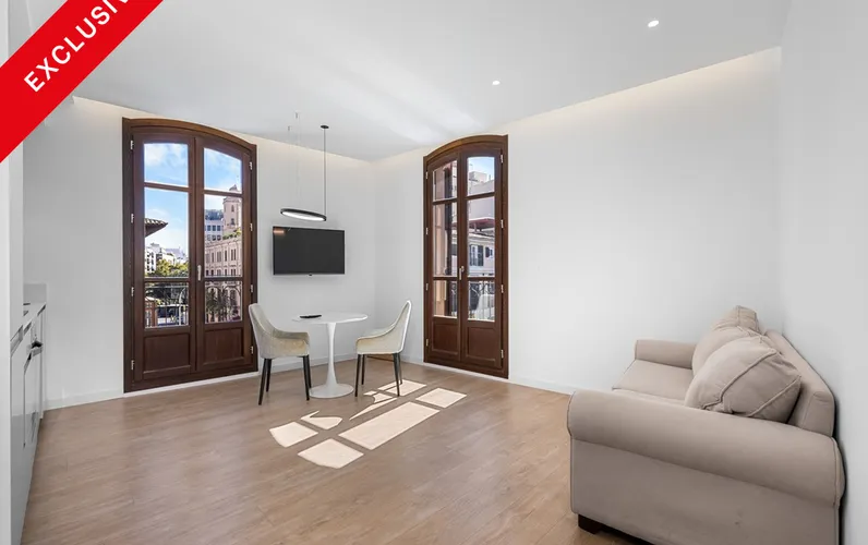 Teraz umeblowane - odnowione i eleganckie mieszkanie z windą i balkonami w Sindicat