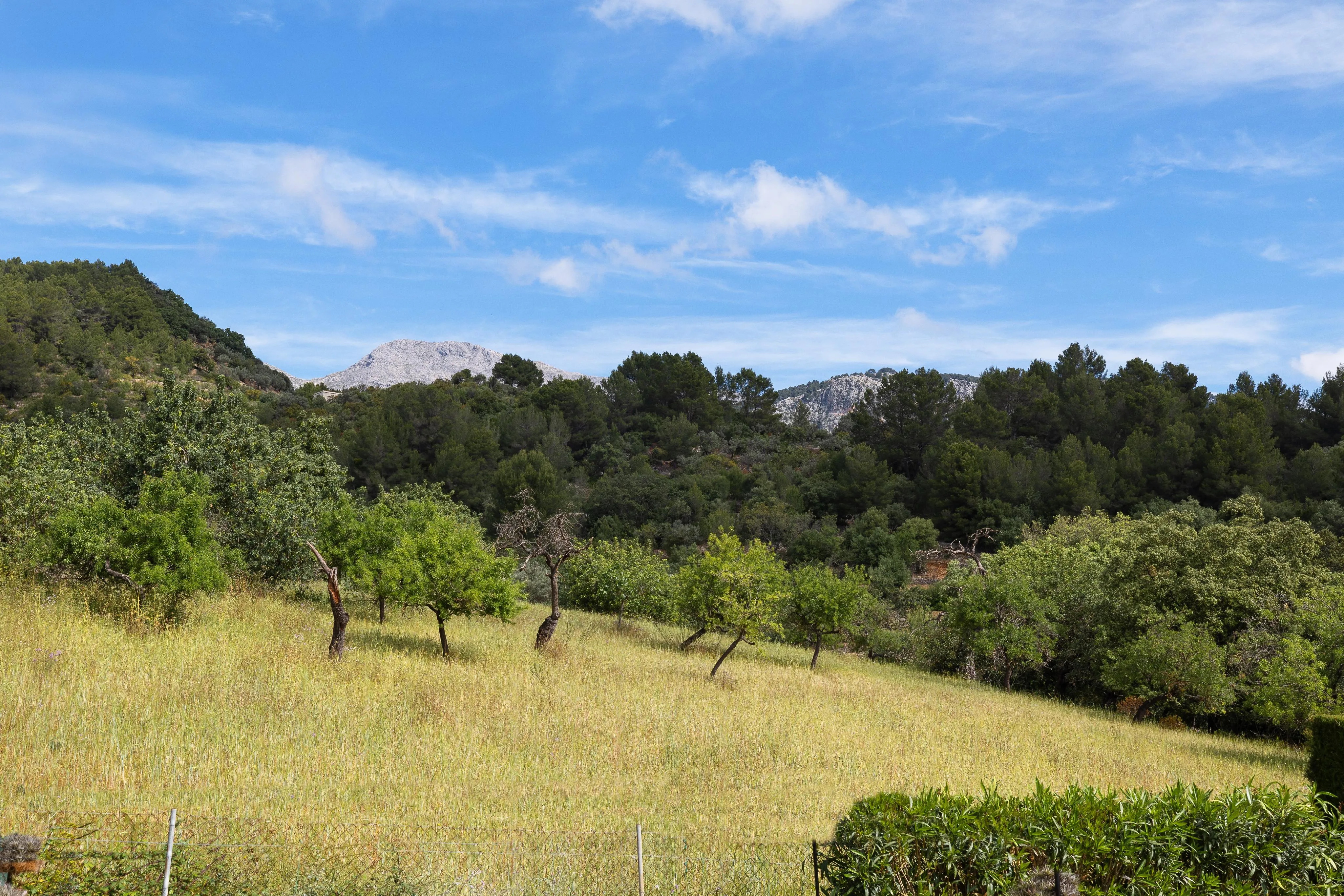 Encantadora villa con Licencia Vacacional en Mancor de la Vall-17