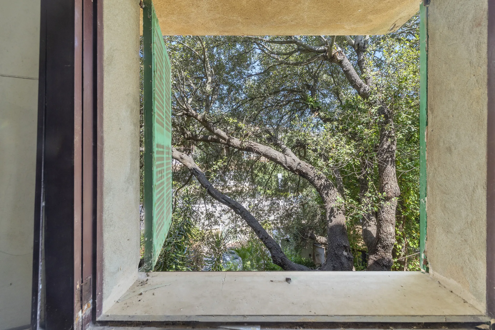 Oportunidad única de inversión en Cala San Vicente, Mallorca-14