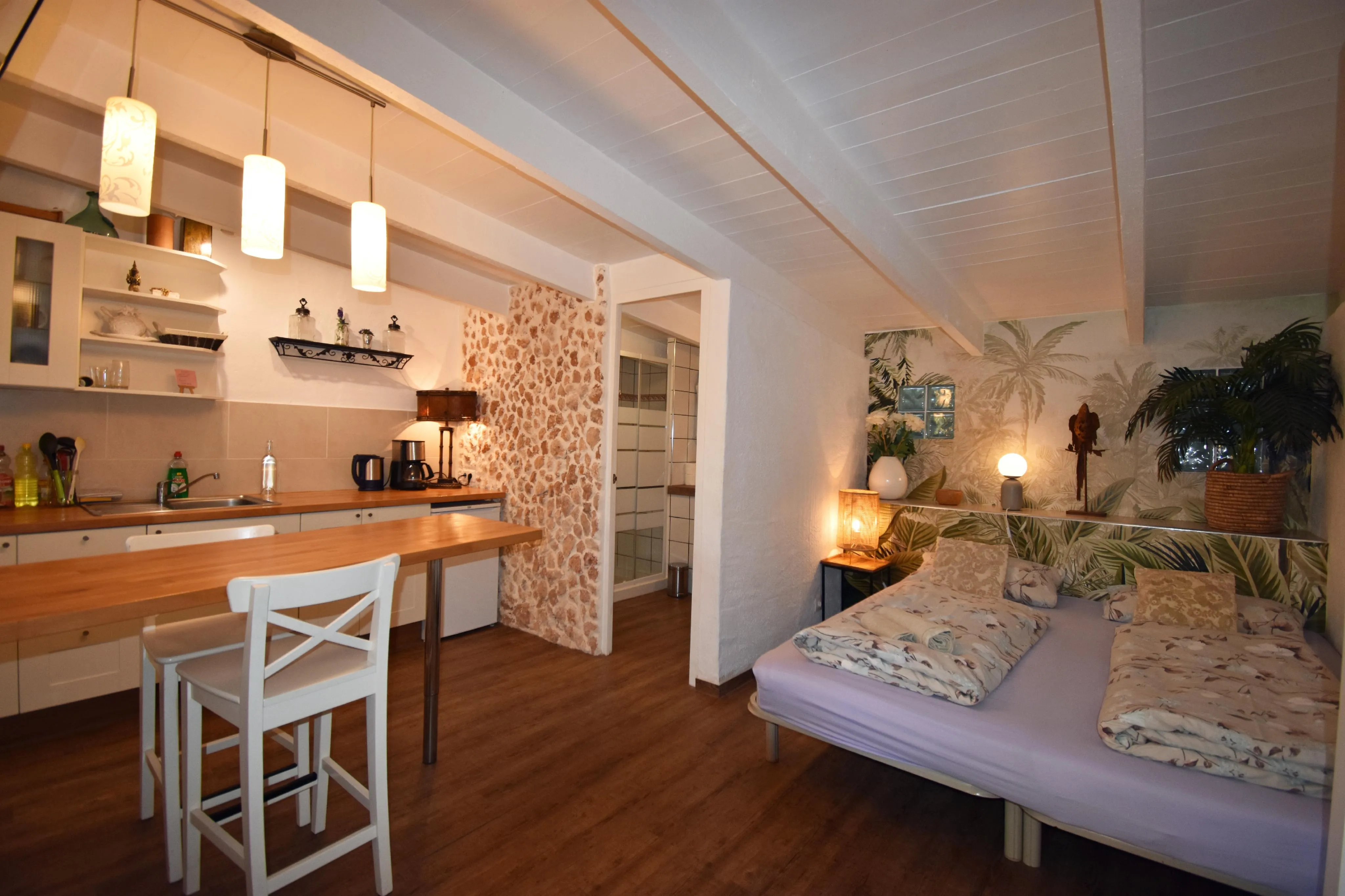 Böhmisk finca med ETV-licens i Llucmajor-16