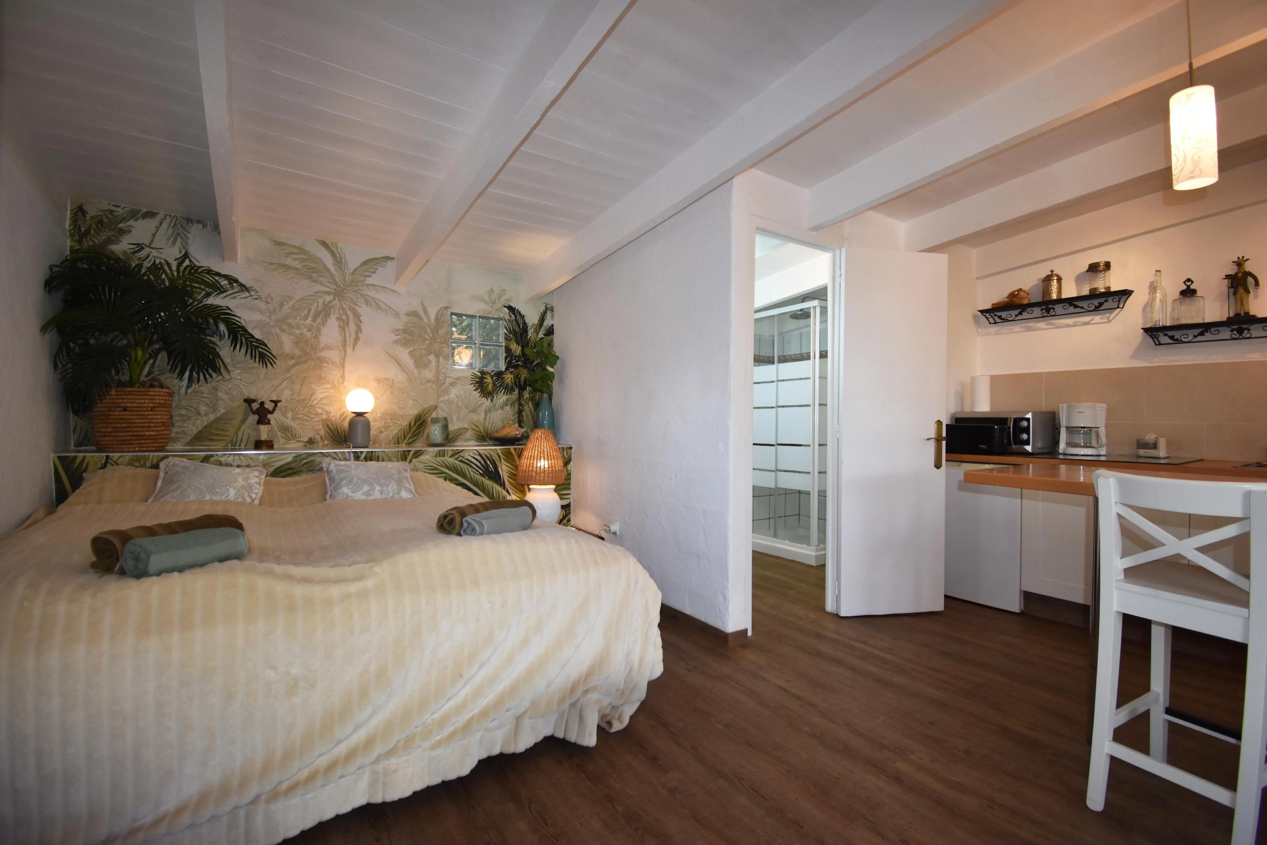 Czeska finca z licencją ETV w Llucmajor-18