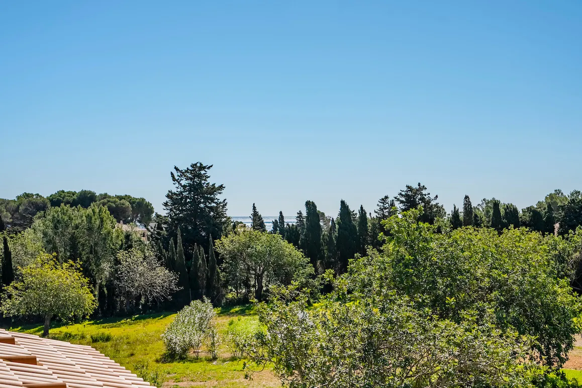 New finca within walking distance to town and beach-13