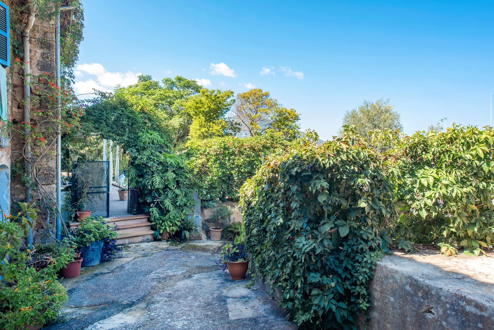 Eccezionale tenuta di campagna con licenze di affitto per vacanze a Biniaraix Sóller-29