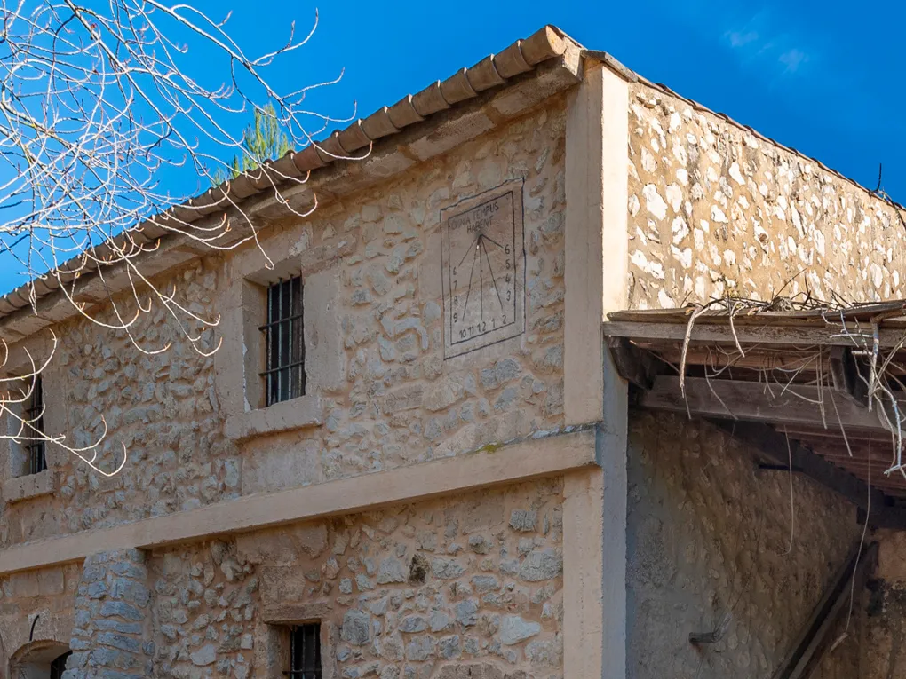 Din egen olivolja på Mallorca? Låt din dröm gå i uppfyllelse!-6