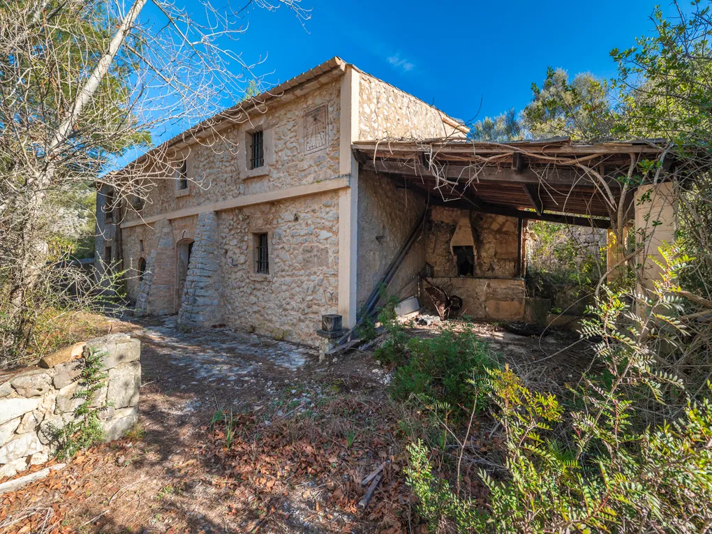 Din egen olivolja på Mallorca? Låt din dröm gå i uppfyllelse!-10