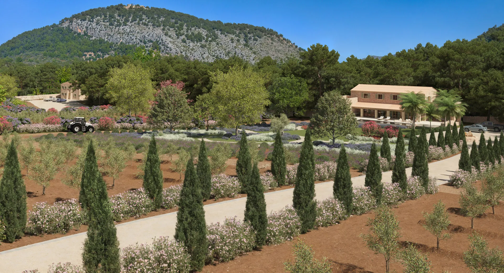 Din egen olivolja på Mallorca? Låt din dröm gå i uppfyllelse!-4