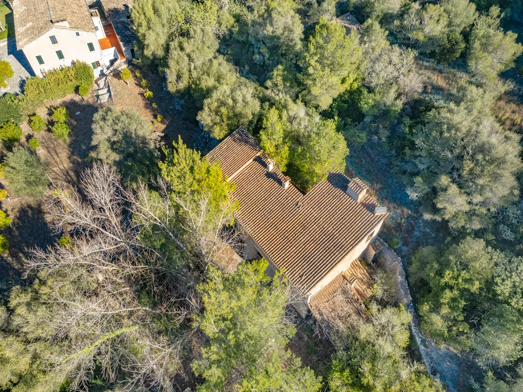 Din egen olivolja på Mallorca? Låt din dröm gå i uppfyllelse!-9