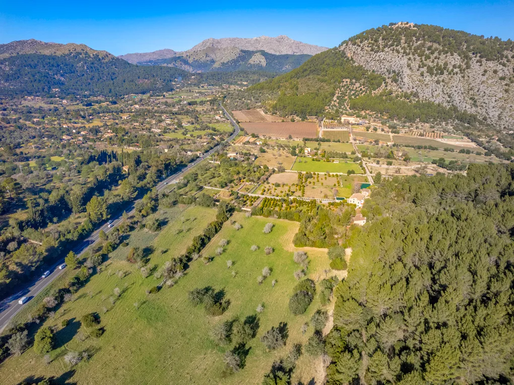 Din egen olivolja på Mallorca? Låt din dröm gå i uppfyllelse!-5