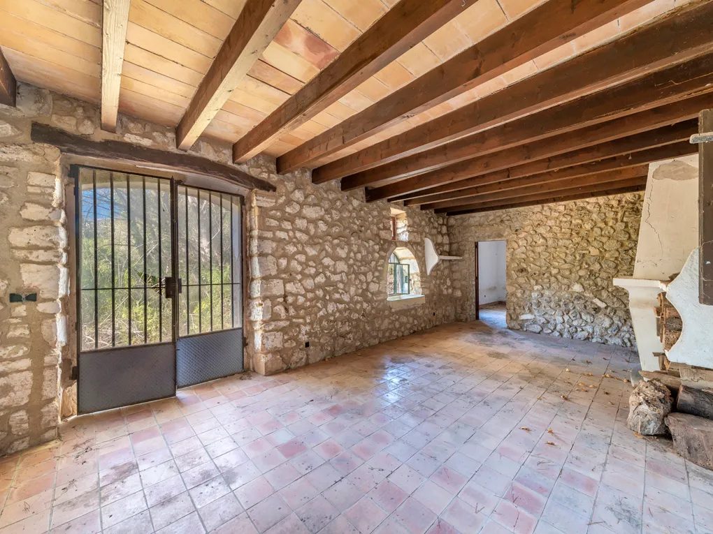 Din egen olivolja på Mallorca? Låt din dröm gå i uppfyllelse!-7