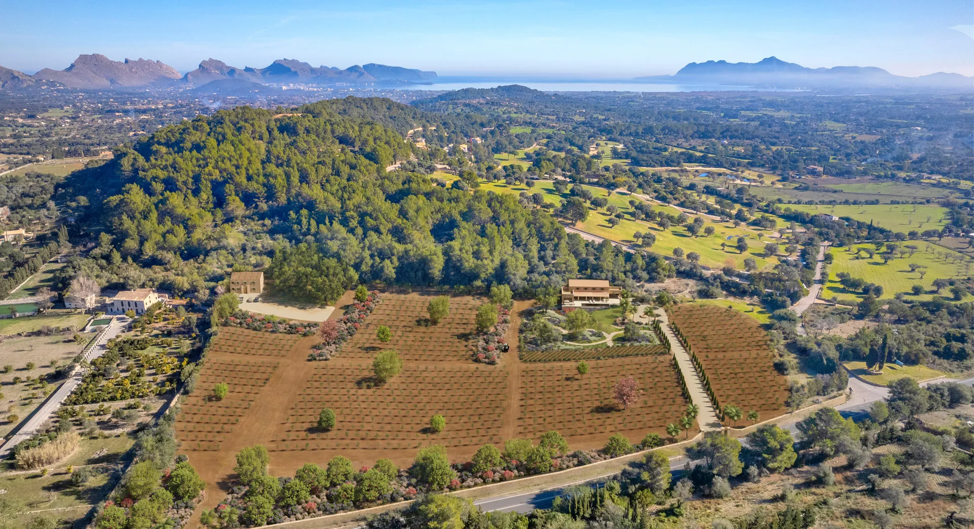 Din egen olivolja på Mallorca? Låt din dröm gå i uppfyllelse!-12