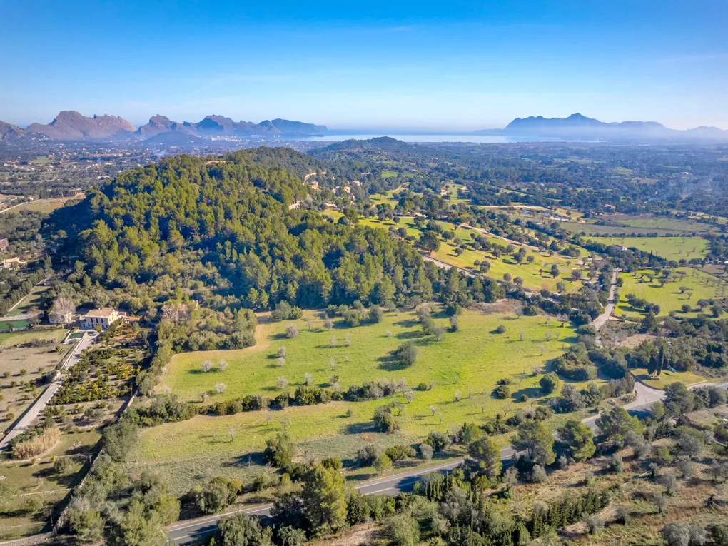 Din egen olivolja på Mallorca? Låt din dröm gå i uppfyllelse!-3