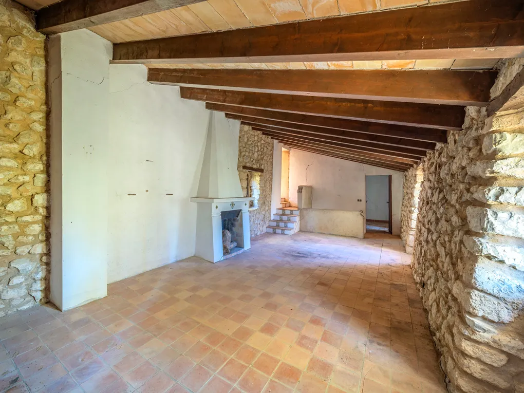 Din egen olivolja på Mallorca? Låt din dröm gå i uppfyllelse!-8