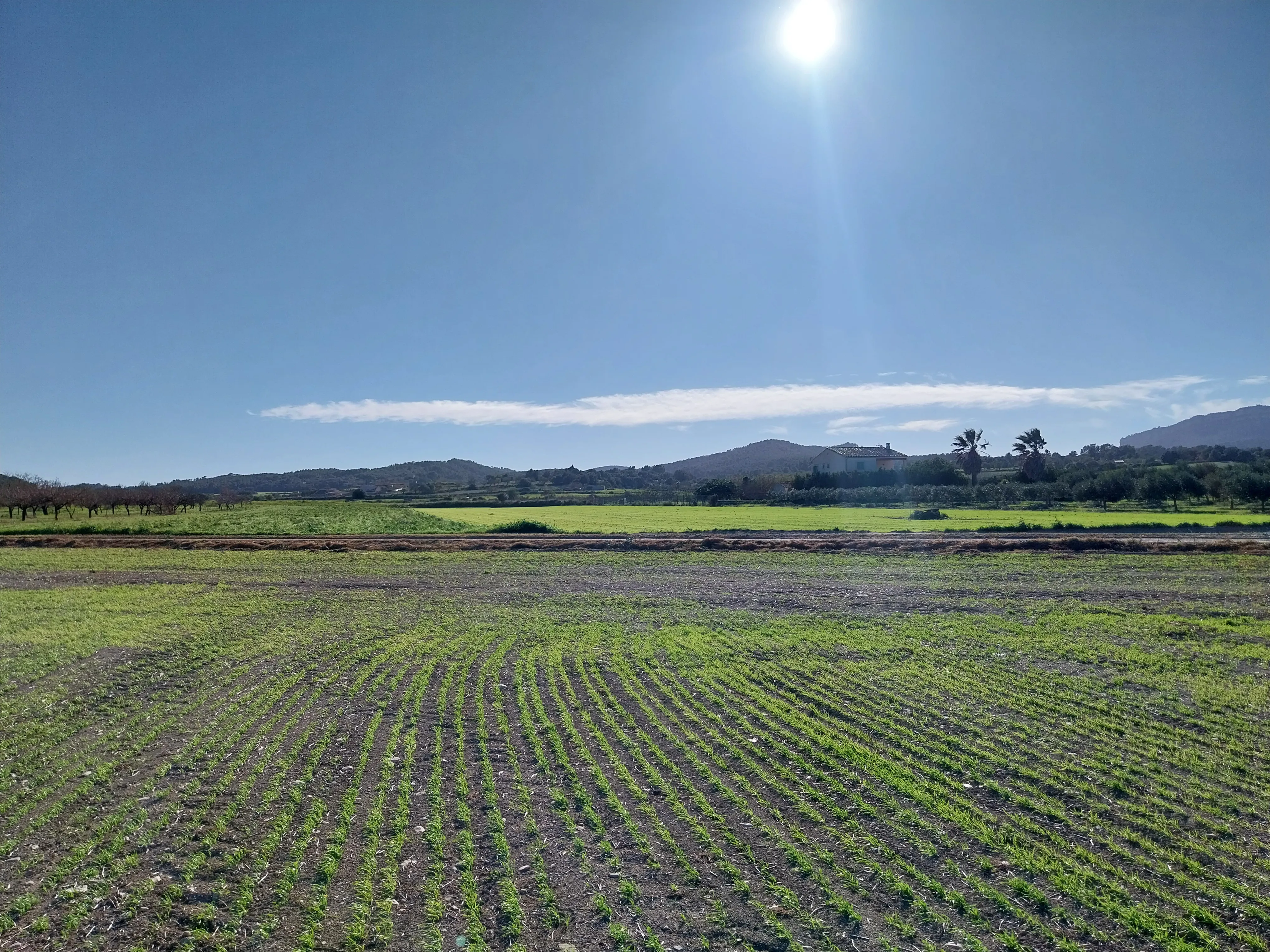 Smuk byggegrund med udsigt nær Montuiri-6