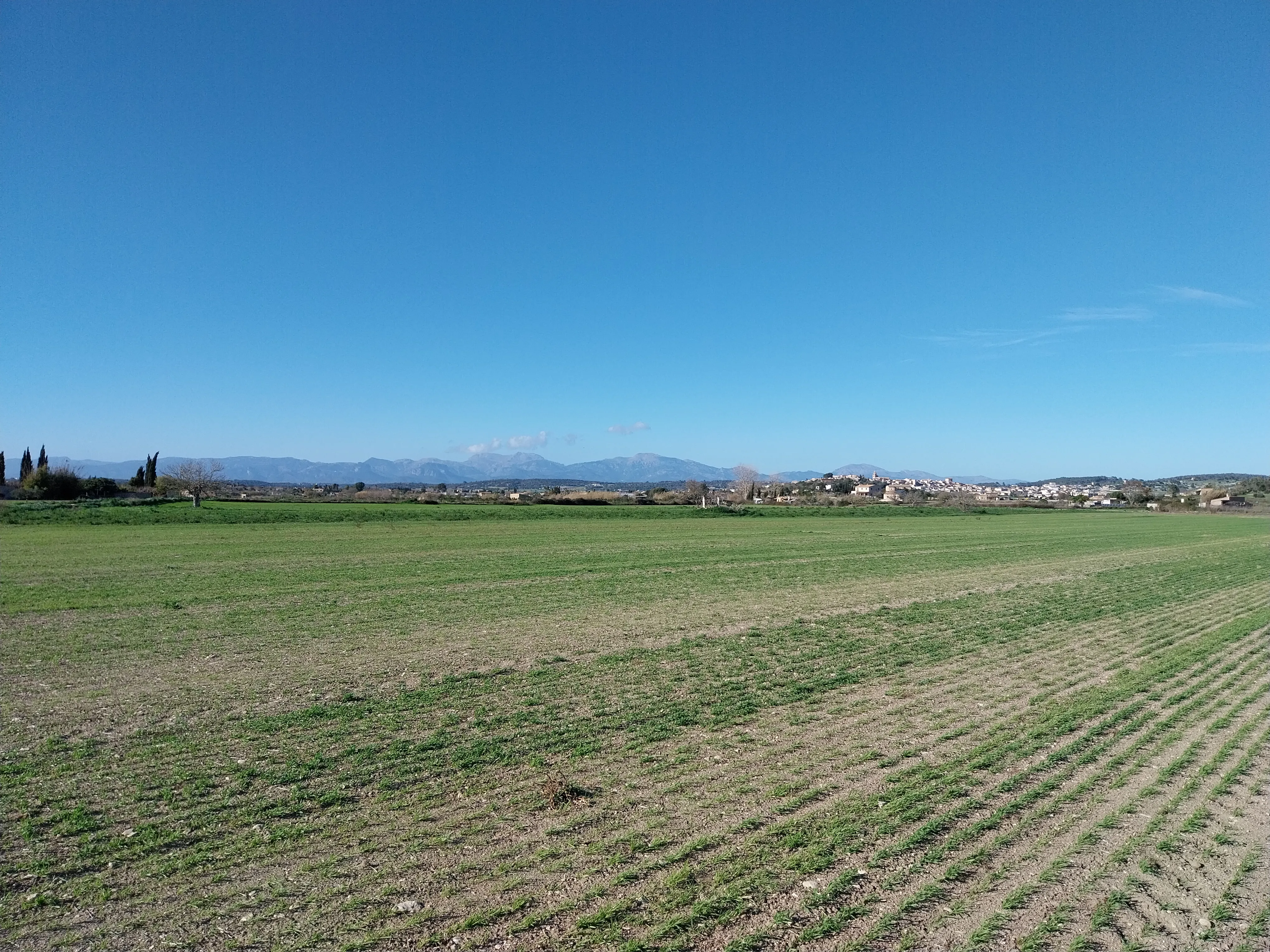 Preu parcel·la edificable amb vistes a prop de Montuiri-10