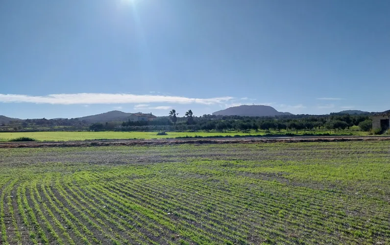 Wunderschönes Baugrundstück mit Aussicht in der Nähe von Montuiri
