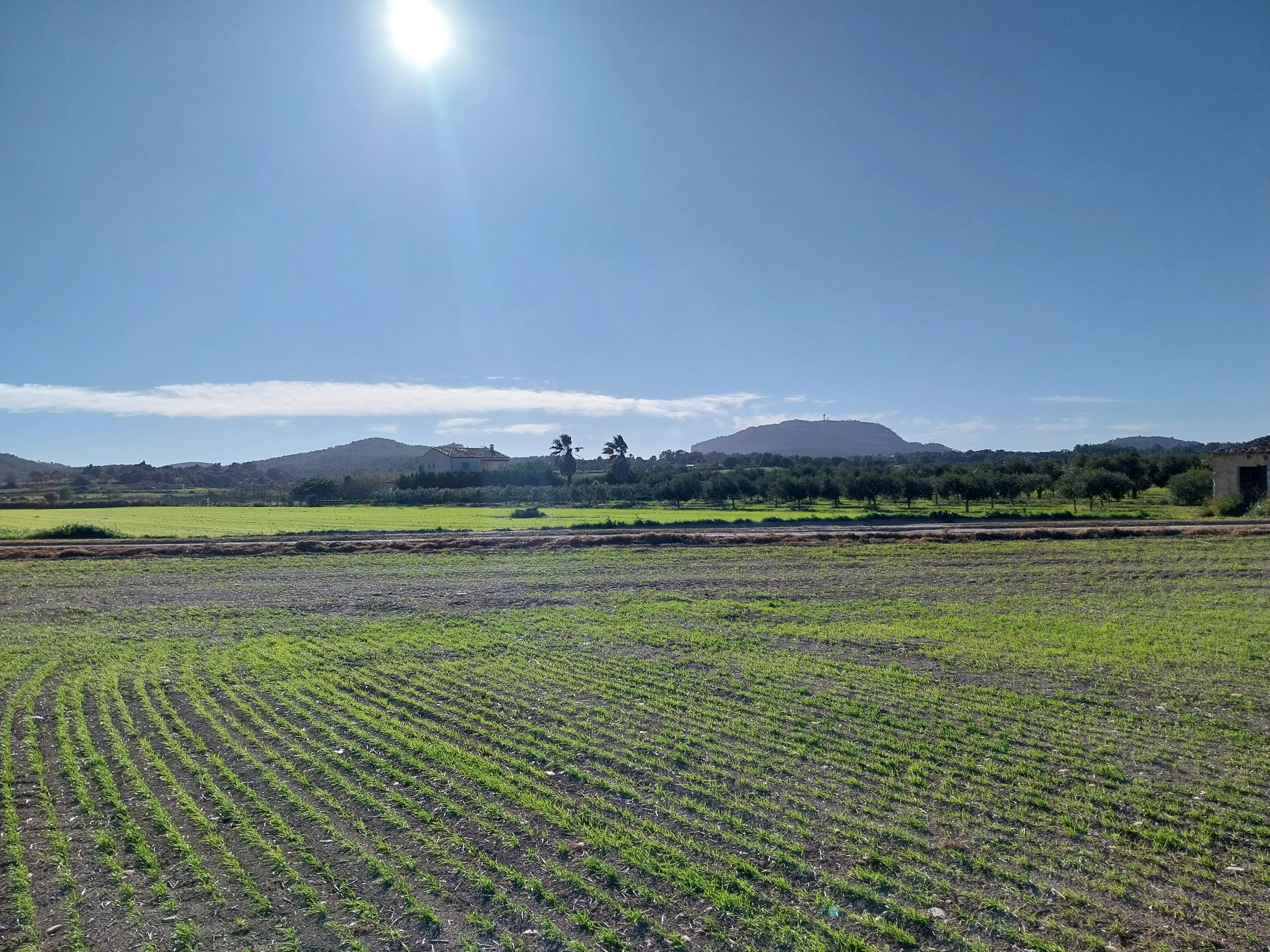 Preu parcel·la edificable amb vistes a prop de Montuiri-1