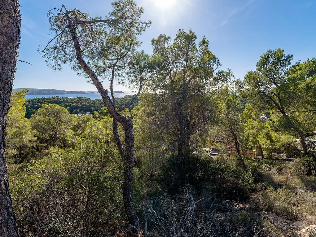 Sea view building plot with licence and execution project-2