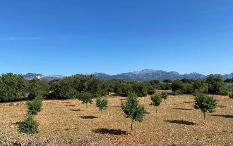 Terrain à bâtir avec projet exclusif de finca à Binissalem