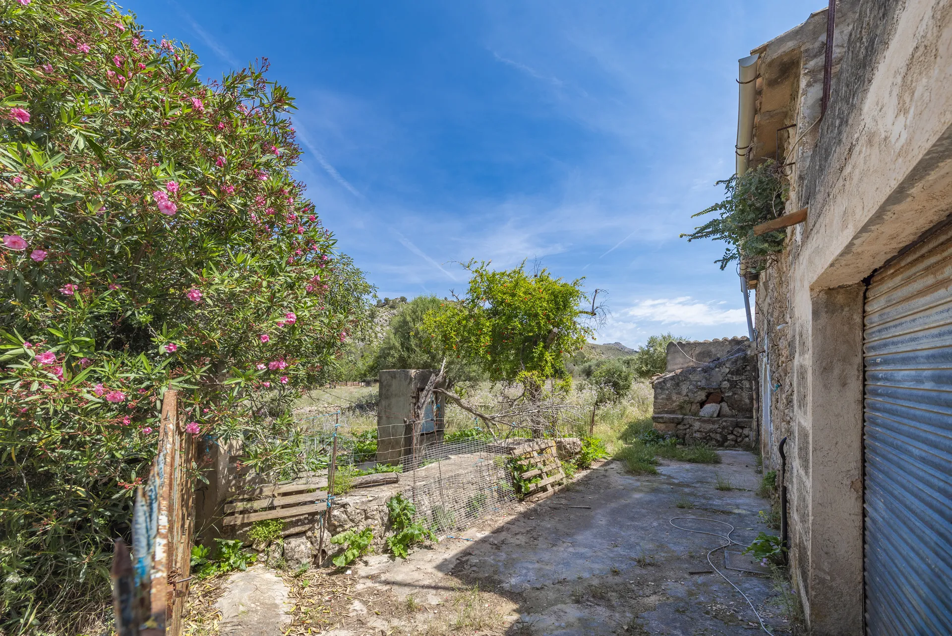 Autentisk mallorcinsk finca med stort potentiale nær Pollensa-4