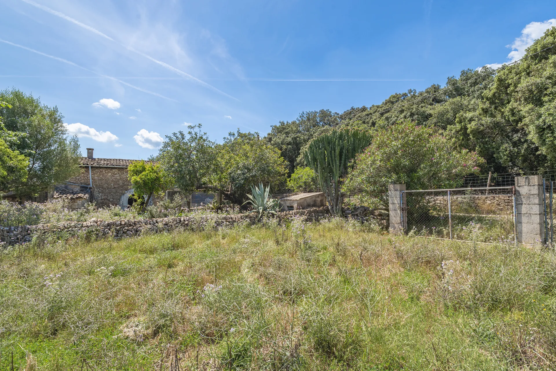 Authentic Mallorcan finca with huge potential near Pollensa-8