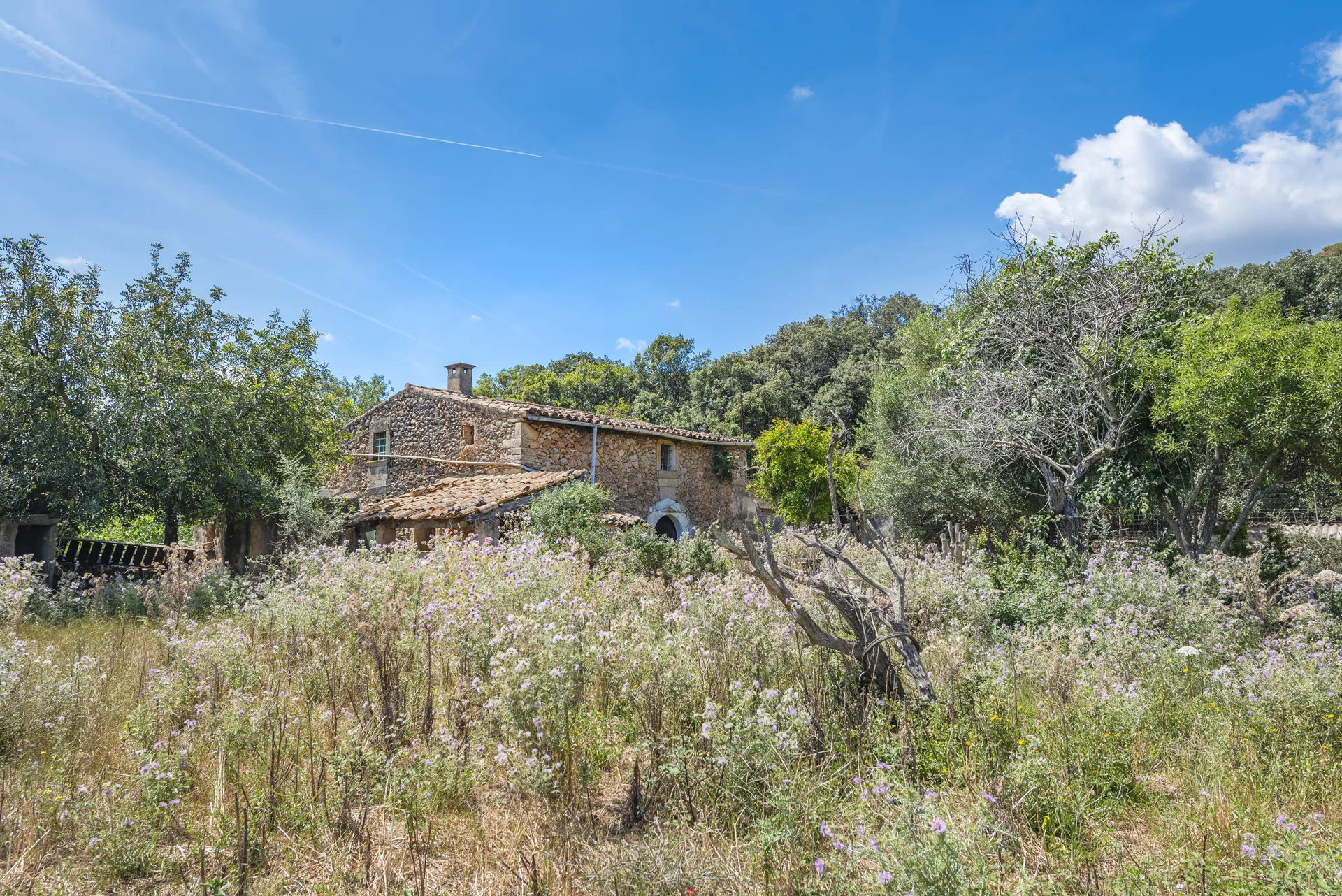 Authentic Mallorcan finca with huge potential near Pollensa-1