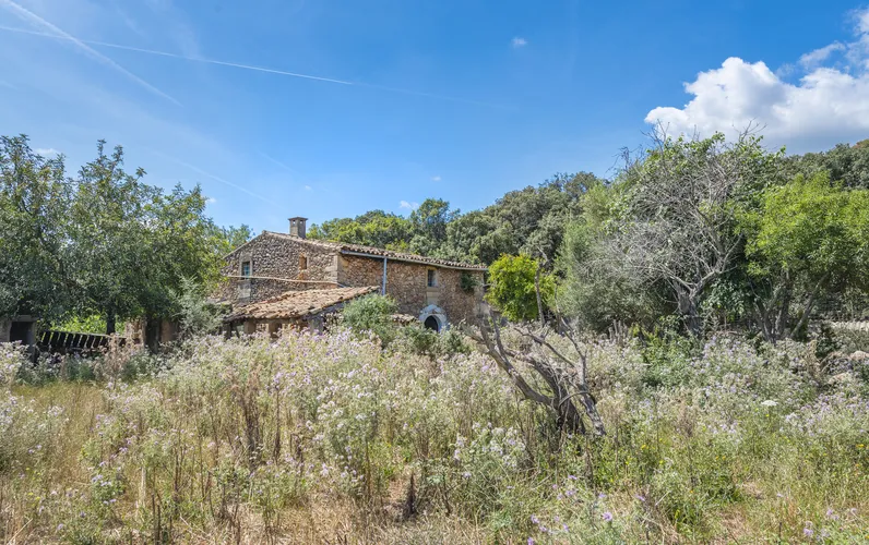 Encantadora finca rústica con gran potencial cerca de Pollensa