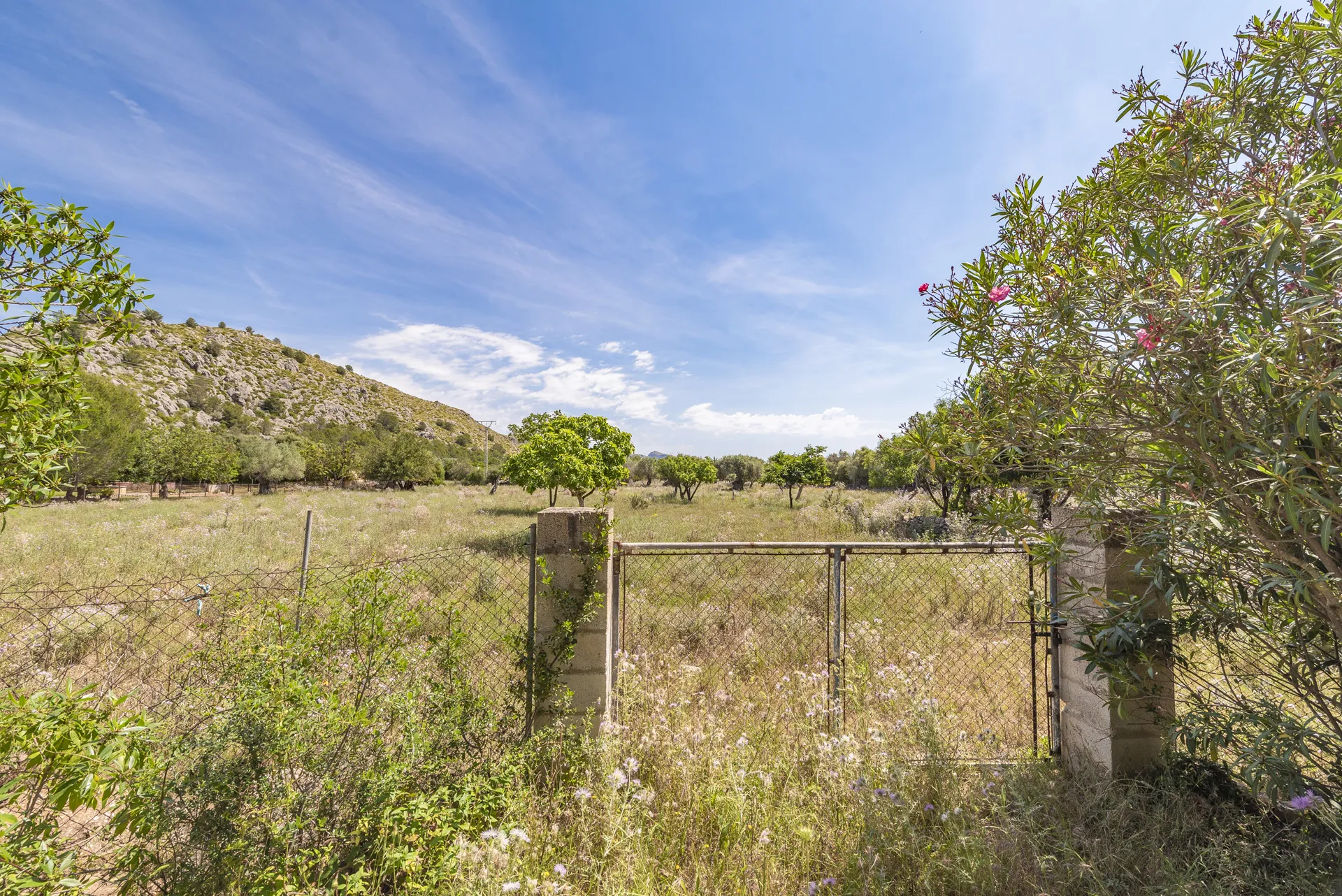 Autentisk mallorcinsk finca med stort potentiale nær Pollensa-7