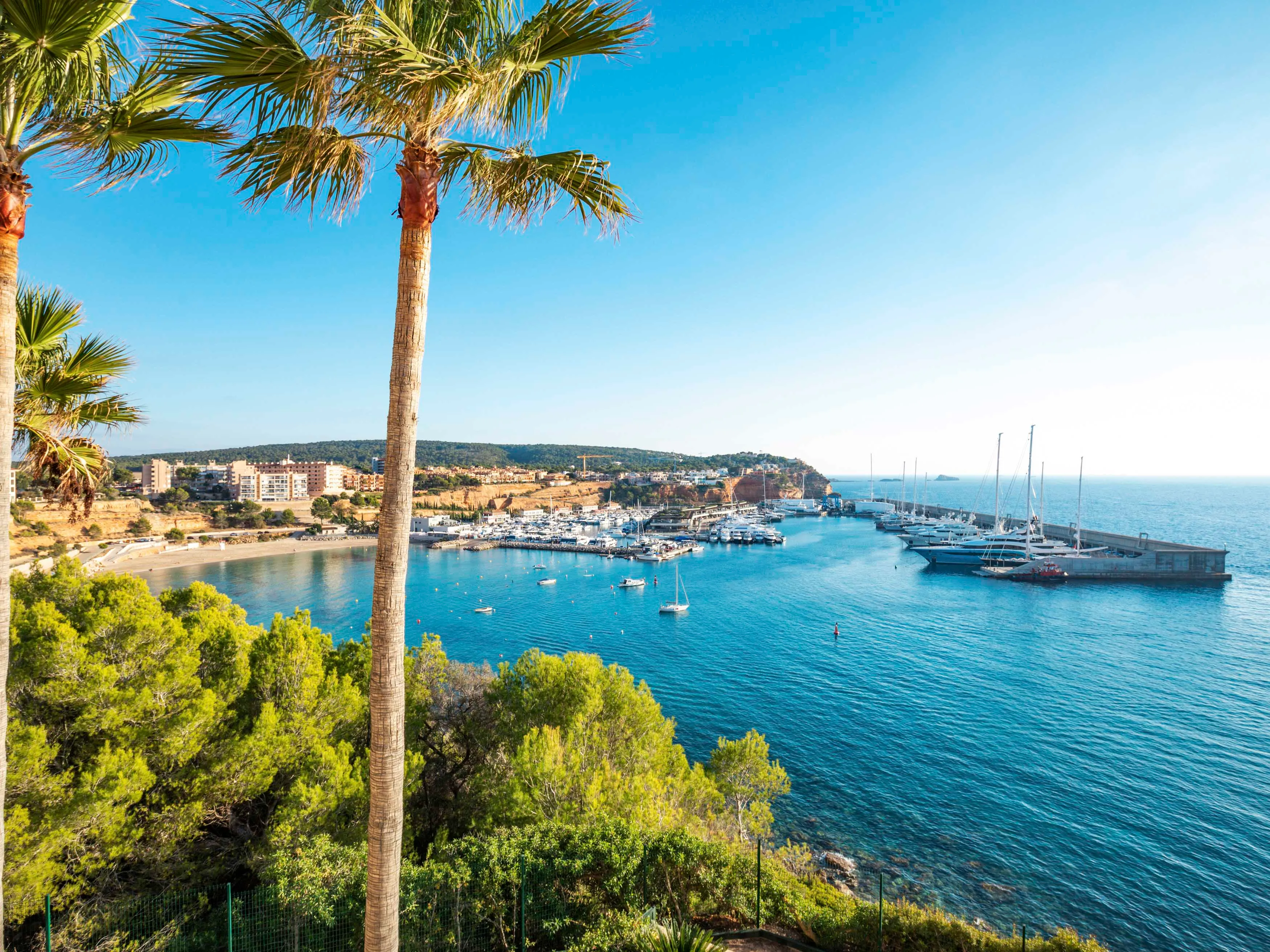 Penthouse with sea views in Port Adriano-15