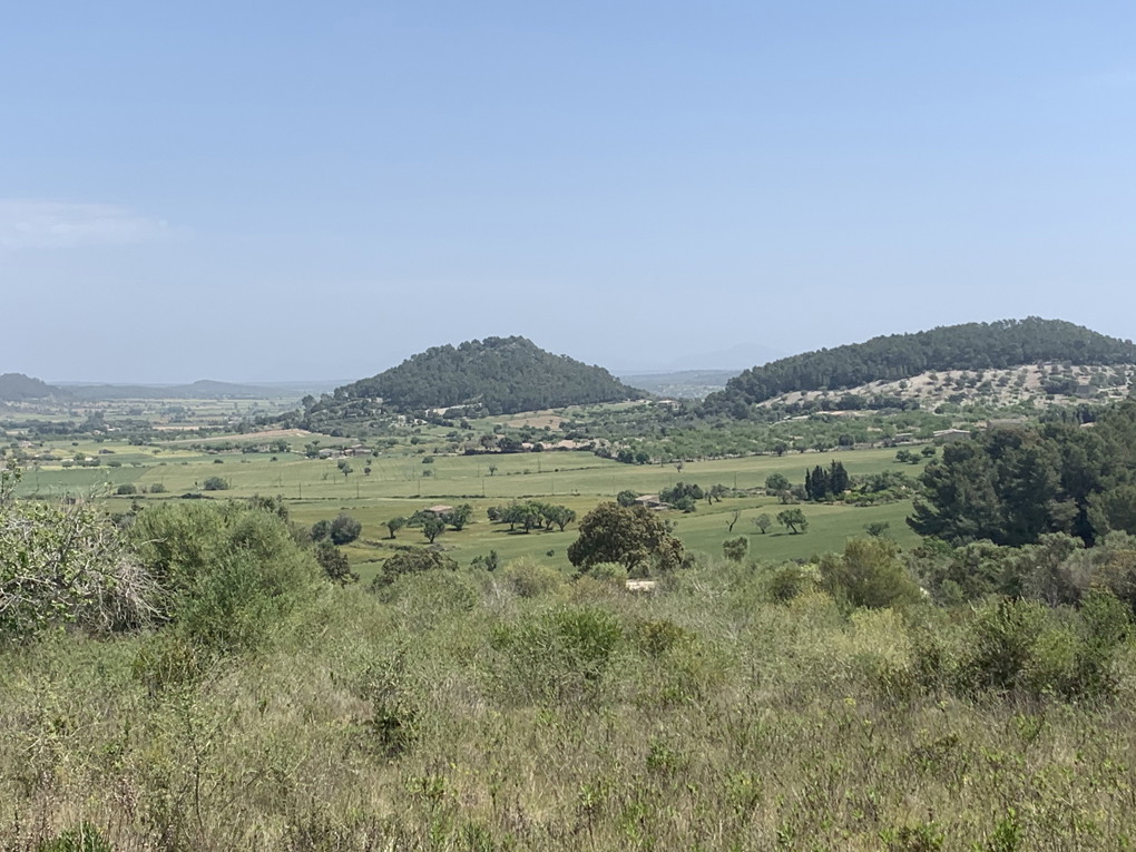 Projecte per a una casa de camp de nova construcció amb vistes-12