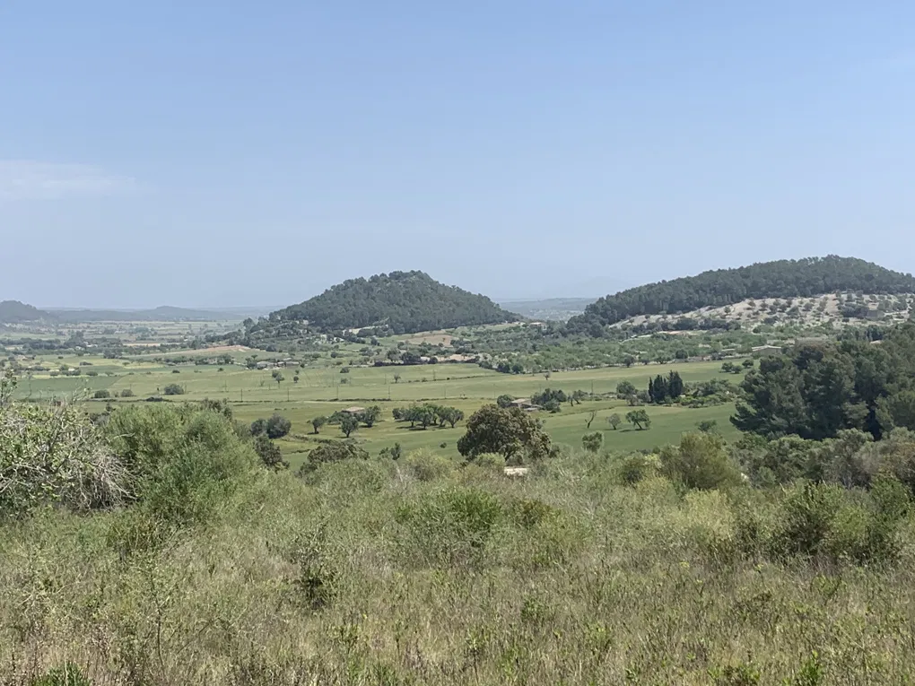 Projecte per a una casa de camp de nova construcció amb vistes-12