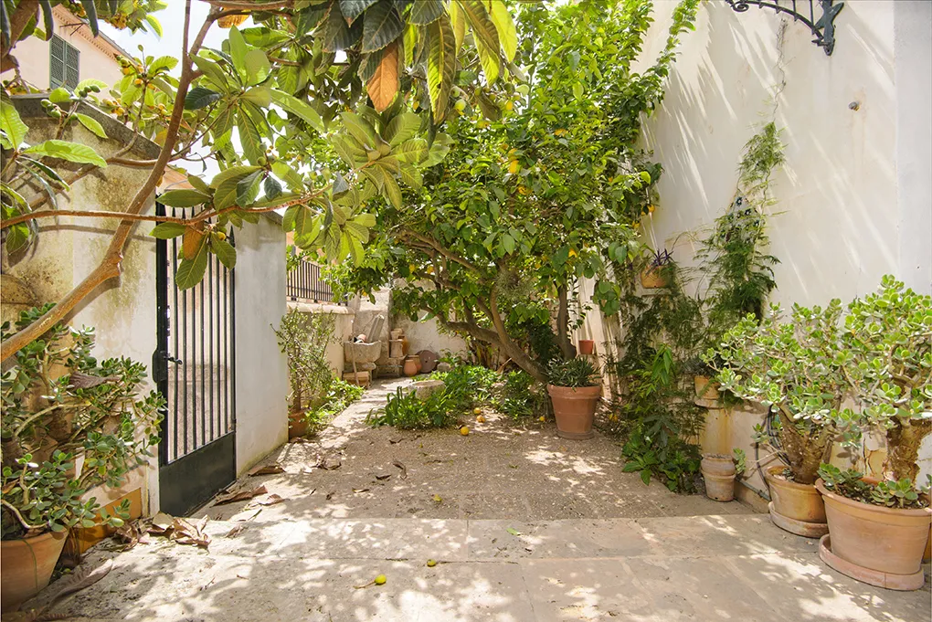 Townhouse close to the market square-3