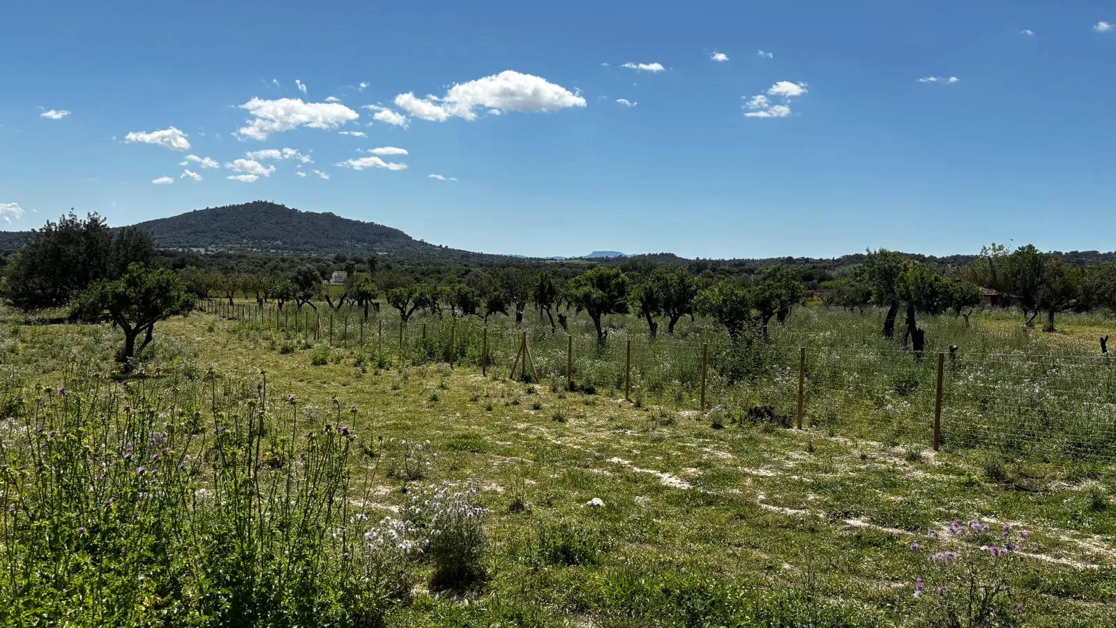 Parcela Exclusiva – Privacidad, Vistas y Estilo de Vida Mediterráneo-6