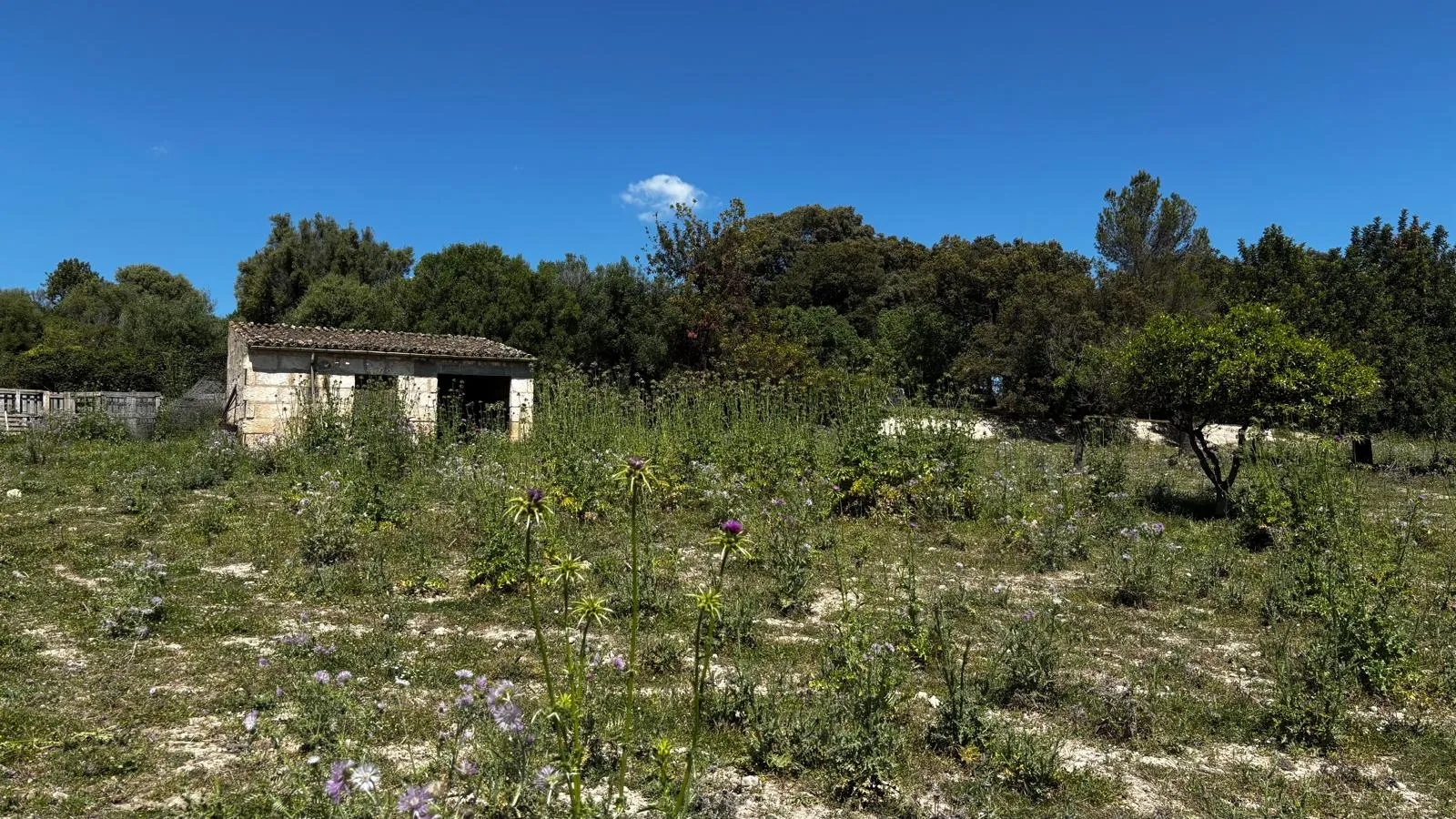 Exklusives Grundstück – Privatsphäre, Ausblick und Mediterranes Lebensgefühl-7