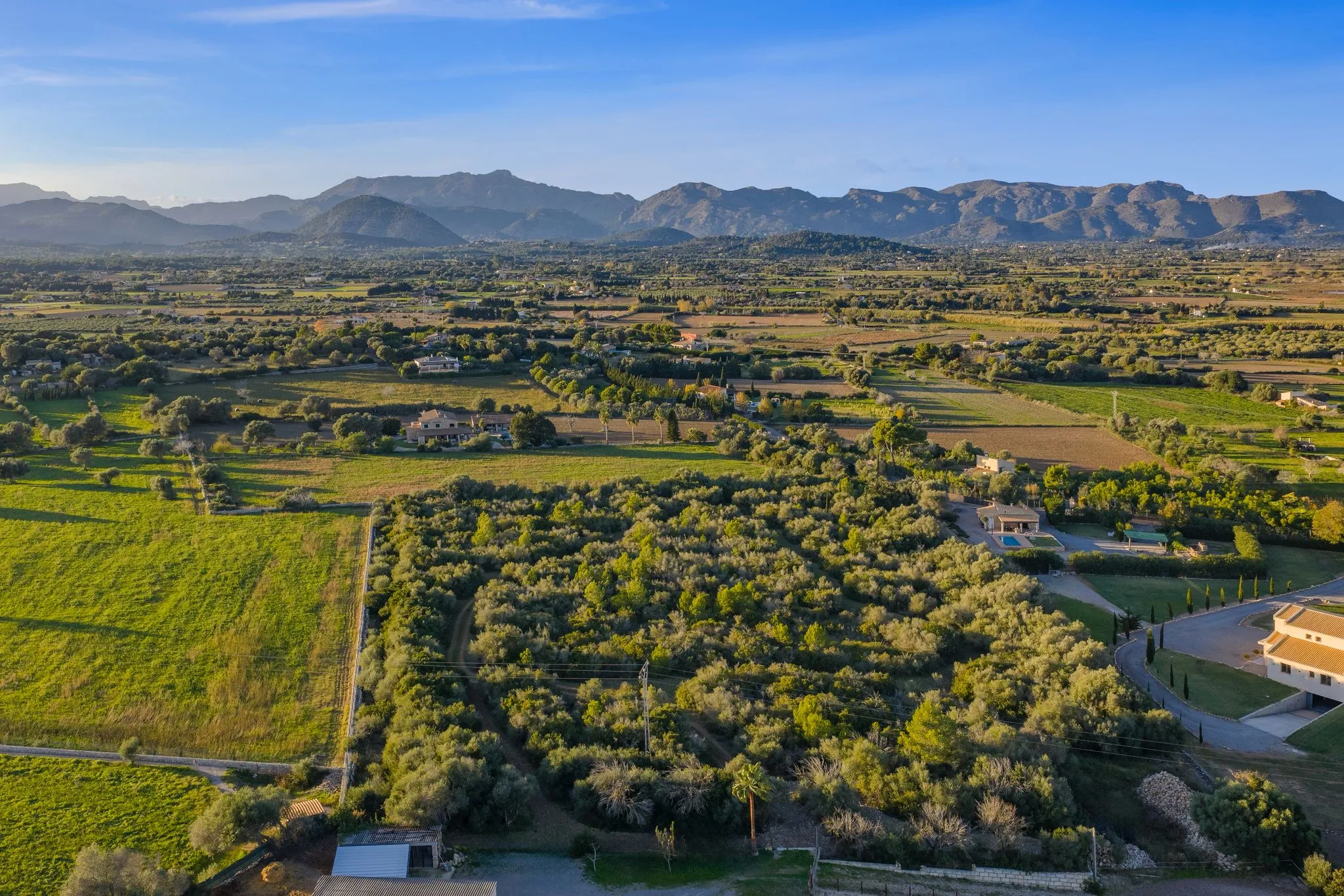Hervorragendes Land zu verkaufen in Alcudia-3