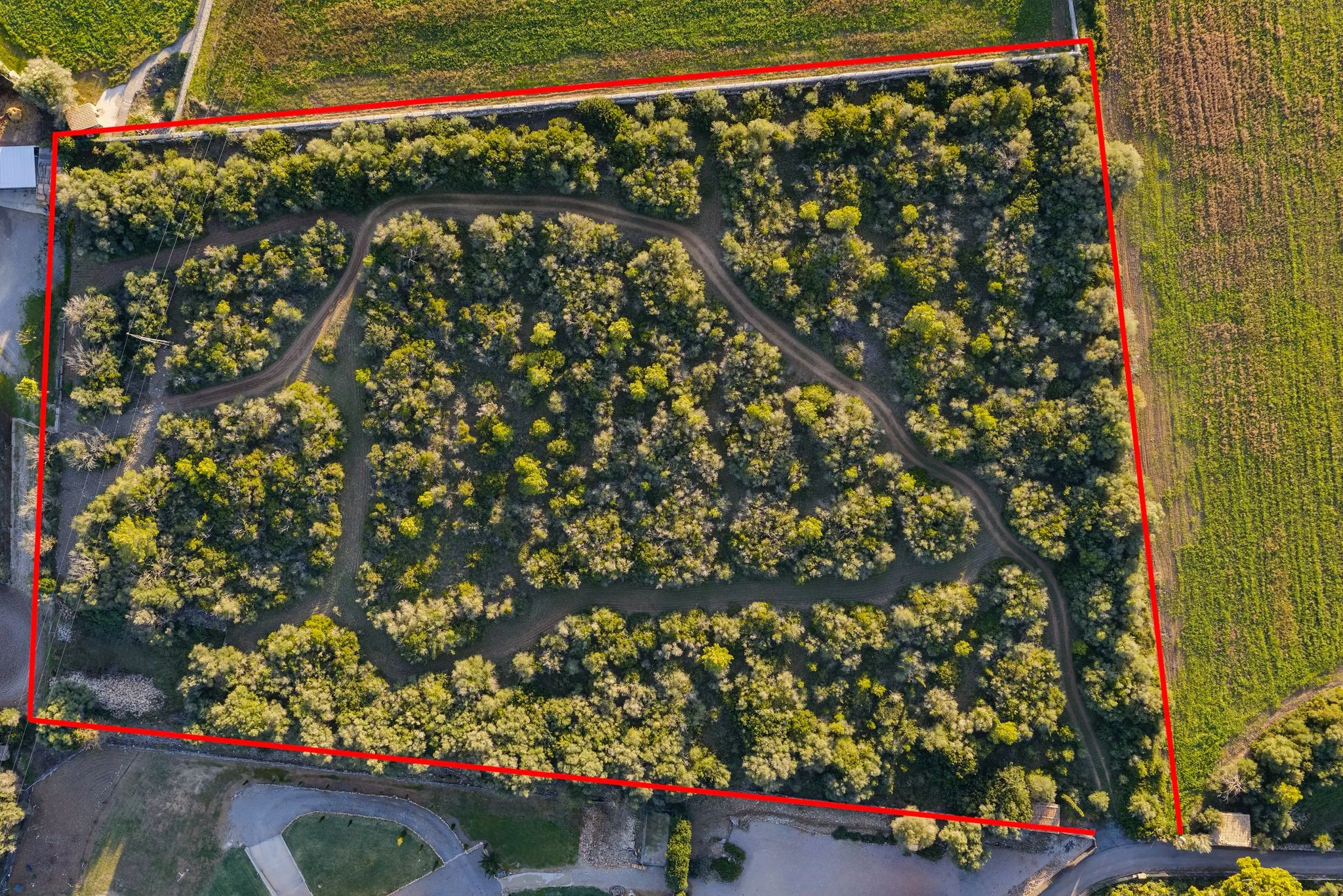 Terreny excepcional en venda a Alcúdia-2