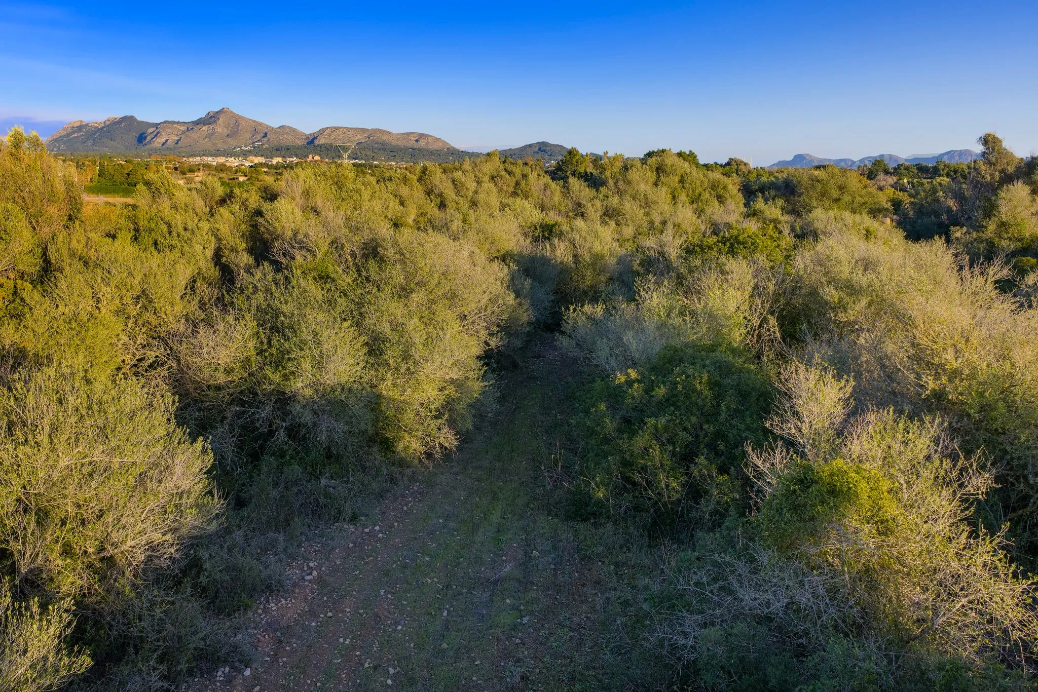 Hervorragendes Land zu verkaufen in Alcudia-8