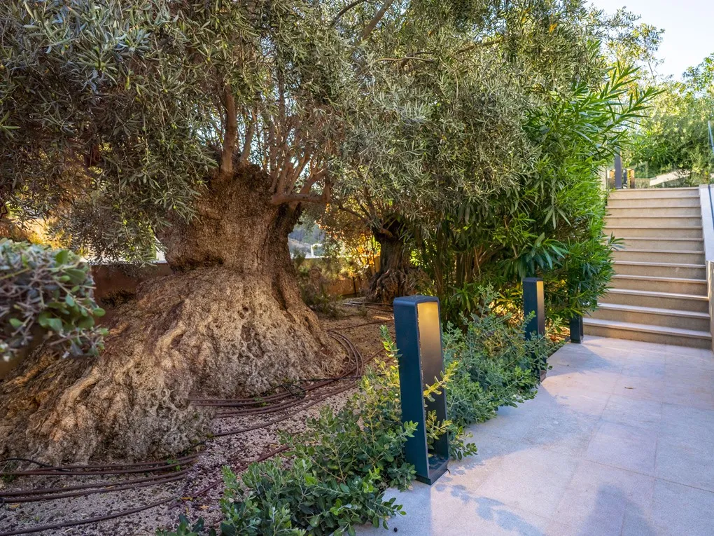 Moderne villa met uitzicht op zee en privacy-16