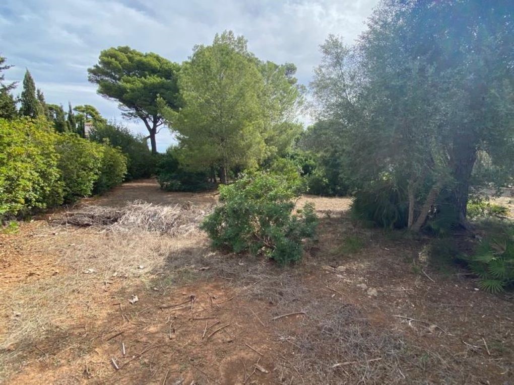 Property with building permit on the seafront-2